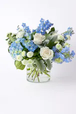 Blue Nankin